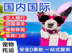 中卫沙坡头航空物流国际宠物托运 【国